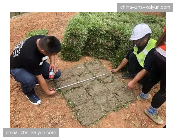 法兰西大球场启动2026-2027赛季草皮更换工程